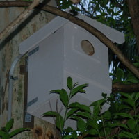Box 1